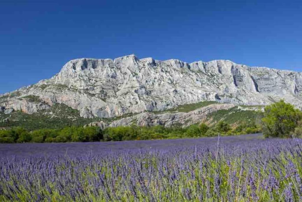 Le Cardinale - Un Voyage En Provence - 2 Chambres Avec Parking Aix-en-Provence Exteriör bild